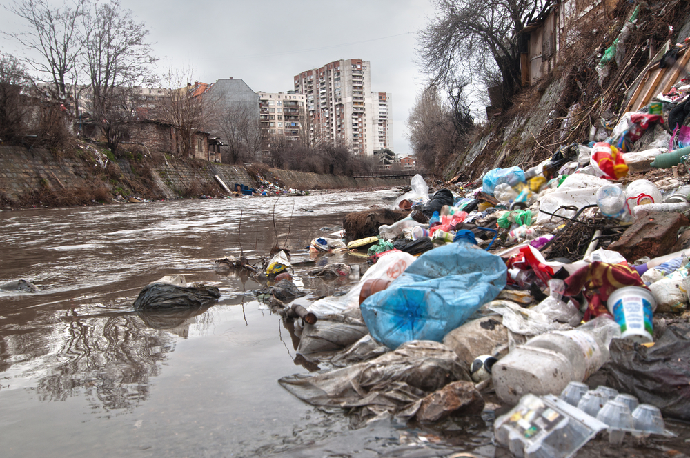 rivière dégeulasse